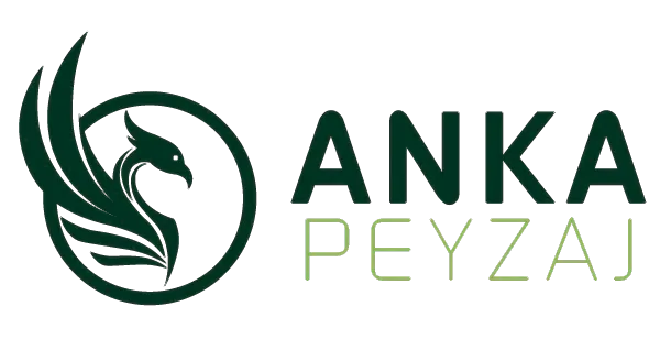 Anka Peyzaj