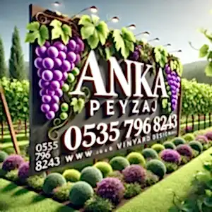 üzüm Fidanı Anka Peyzaj üzüm fidanı