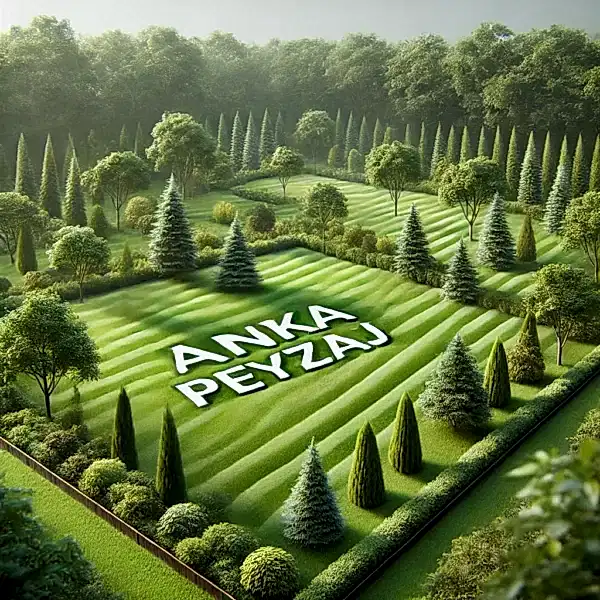 Genel Peyzaj Hizmetleri
